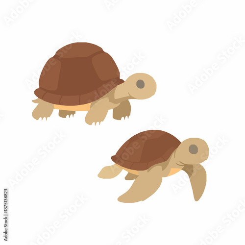 Cute cartoon tortoise and sea turtle vector illustration isolated on white