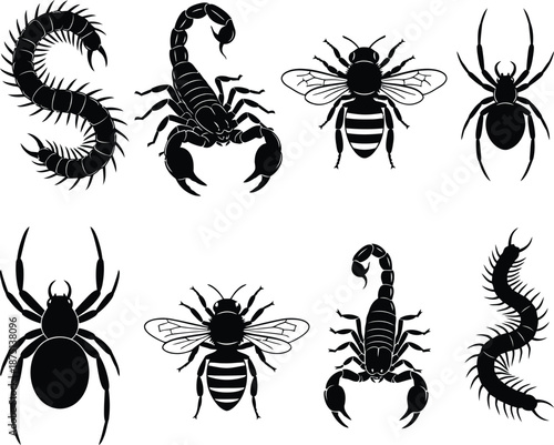 Collection of insect and arachnid silhouettes including centipedes, scorpions, bees, and spiders for biology studies