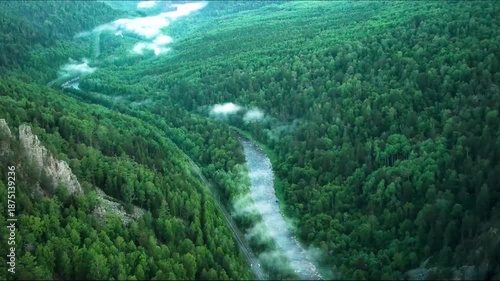 Trees in the mountains, tree in the forest, trees in the forest, A drone flying over a lush green forest, capturing an aerial view of a winding river cutting through dense foliage. The river is surrou