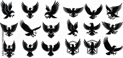 Set of powerful eagle bird silhouettes ideal for heraldry symbols or sport team mascots
