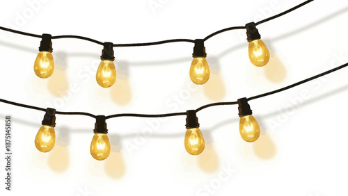 Warm incandescent string lights on black cord