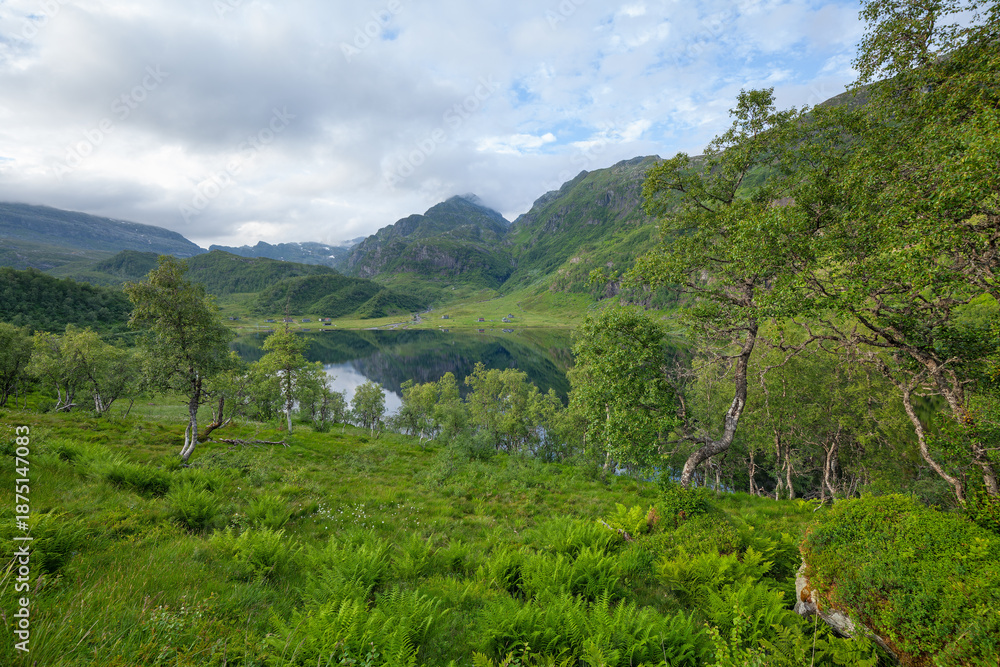 Naklejka premium Summer view at Steinskvanndalsvatnet lake near Norheimsund, green mountains, birch forest and old hut, Vestland, Norway.