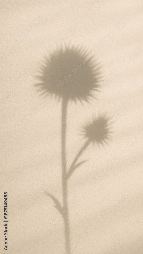 Fototapeta premium Minimalist floral shadow mobile wallpaper