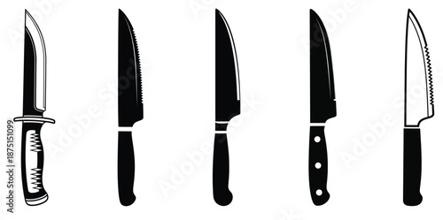 A collection of four kitchen knives with different blade shapes and handles