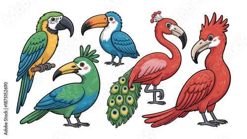 Exotic Bird Assemblage: A vibrant collection of unique birds, each boasting its own distinctive plumage and captivating features, forming a visual spectacle of avian diversity.