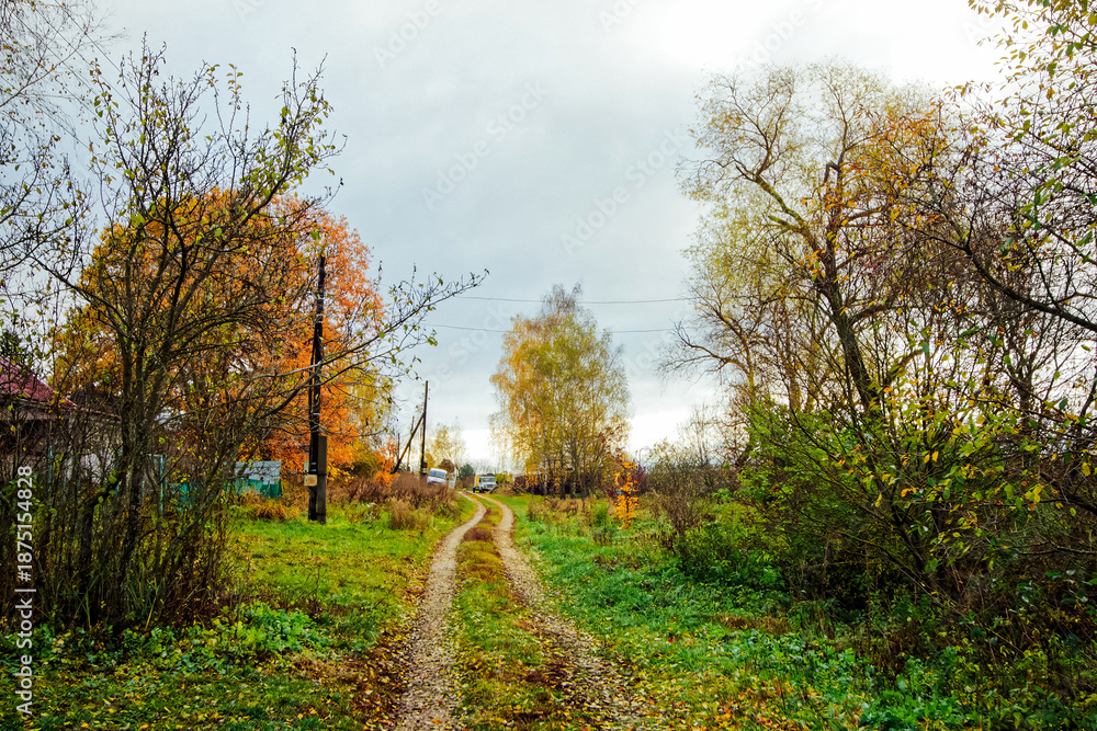 Fototapeta premium Dirt road through a village in late autumn