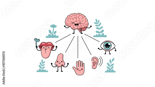 Cute cartoon brain character connected by lines to various sense organ icons like eye ear nose hand and tongue.