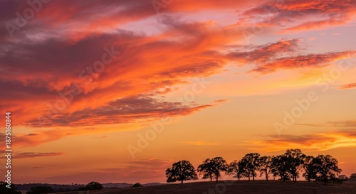 Golden Hour Sunset, Glowing Clouds & Silhouetted Trees with Orange Magenta Sky