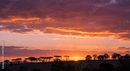 Golden Hour Sunset, Glowing Clouds & Silhouetted Trees with Orange Magenta Sky