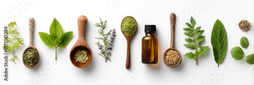 Panel kuchenny z motywem Flat lay of dried herbs, roots, and essential oil bottles on white background, ideal for alternative medicine and wellness concepts.