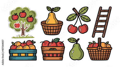 Harvest Bounty: Illustration showcases a variety of ripe fruits, including apples, pears, and cherries, artfully arranged with a wooden ladder.