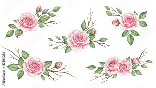 Set watercolor arrangements with roses. collection garden pink flowers, leaves, branches, Botanic  illustration isolated on white background.
