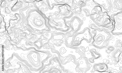 Topographic map. Geographic contour map background with elevation lines. Detailed terrain visualization concept. Vector illustration of landscape elevations and natural relief.
