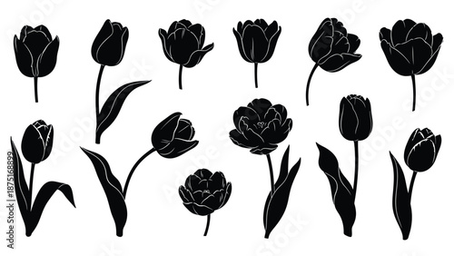 a collection of black tulip silhouettes on a white background