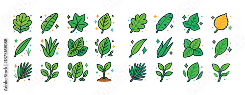 Colorful collection of various green leaf illustrations on white background