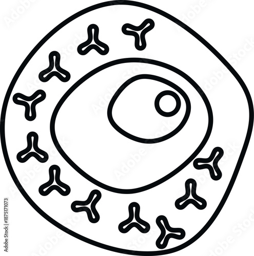 Biological cell showing nucleus and surrounding membrane with specific receptors