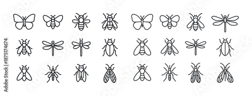 Vector line icons of insects including butterflies, bees, and dragonflies