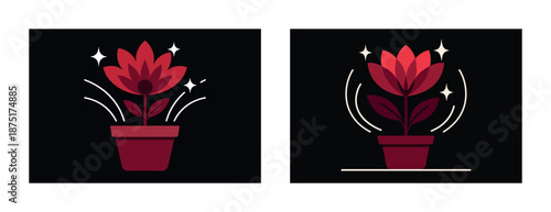 Vibrant red flower blossoms in pot