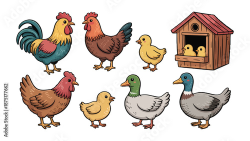 Farmyard Friends: Charming illustrations of various farm animals, including a rooster, hen, ducklings, and a duck, as well as a cozy birdhouse, all set against a clean backdrop.
