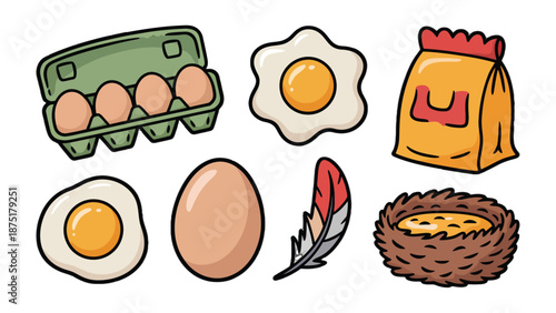 Egg Collection: Illustrative assortment of eggs in various forms, from fresh eggs in a carton to fried eggs, along with a feather, a nest and some other related element.