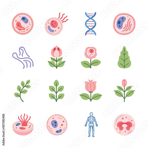Flat lay illustration of various biology and science icons including cells, DNA, flowers, and a human figure on a white background with a mix of pink, green, and blue colors.