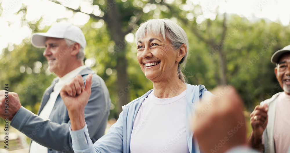 Fototapeta premium Fitness, retirement and step class with old woman outdoor for activity, health or wellness routine. Exercise, mobility and morning with group of happy senior people in park together for workout