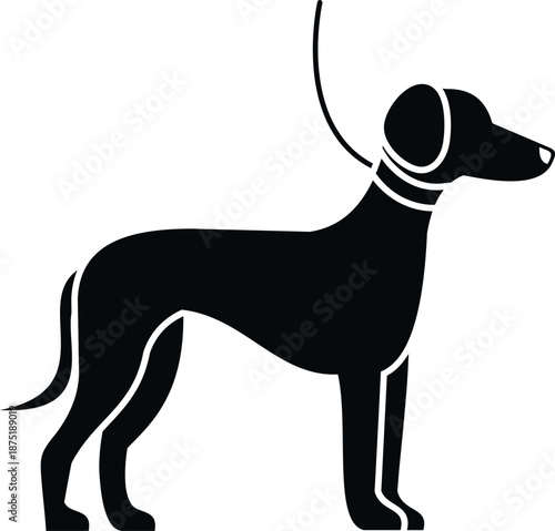 Greyhound dog black silhouette displaying standing stance with collar and leash