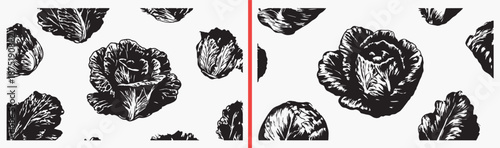 cabbage illustration drawing, hand drawn vegetable sketch, black and white cabbage art, organic food illustration, leafy vegetable artwork, farm fresh produce drawing, vegetable icon set

