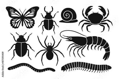 Diverse Invertebrate & Arthropod Silhouettes: A Comprehensive Vector Collection of Insects, Crustaceans, Spiders, Snails, Worms, Beetles, Butterflies, Crabs, Shrimp, Millipedes
