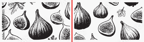 Fig Fruit Hand Drawn Sketch, Fresh Exotic Produce Illustration, Organic Sweet Food Drawing, Kitchen Decor Art, Mediterranean Fruit Design, Healthy Snack Pattern, Natural Fig Collection

