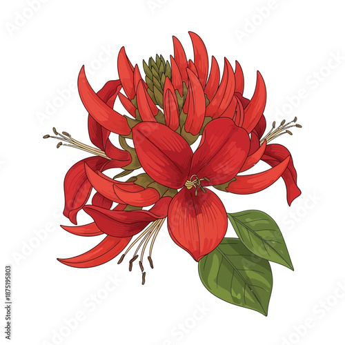 Vibrant botanical illustration of a tropical red flower, Erabadu, a quintessential symbol representing sinhala traditional awurudu sri lanka festivities and rich cultural heritage