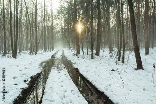 A wet road in a winter forest with fog and sun