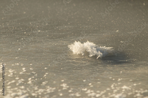 Close-up of Delicate Hoar Frost Crystals on a Frozen Surface