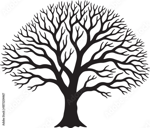 Black Silhouette of a Bare Tree on White Background