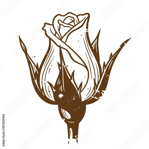 Drawing Vintage Brown rose flower illustration with thorns and leaves  a single blooming rose