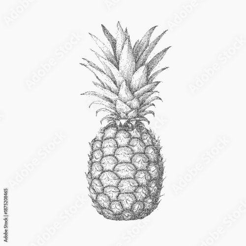 Pineapple drawing with outlined segments, grainy stippling and dust texture, faded ink fill with vintage paper grit and subtle threshold noise.