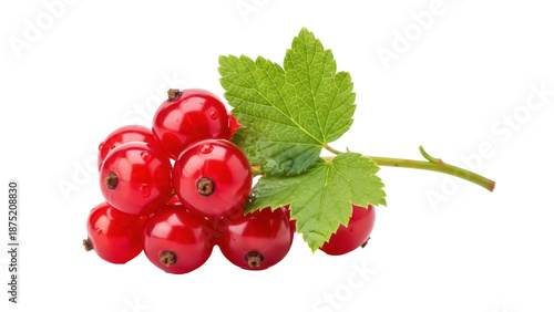Photos Redcurrant berries with green leaf isolated PNG, fresh juicy currants on transpa