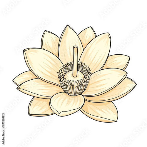 Sinhala Traditional Awurudu Sri Lanka 's Beautiful Flower Illustration for Cultural Celebrations