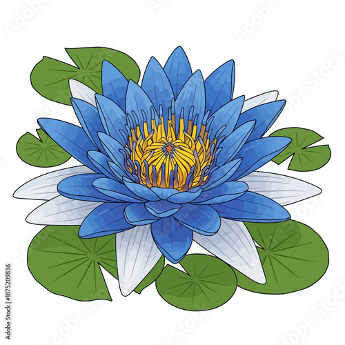 Sinhala Traditional Awurudu Sri Lanka A Beautiful Blue Water Lily Illustration Adorning Nature's Purity