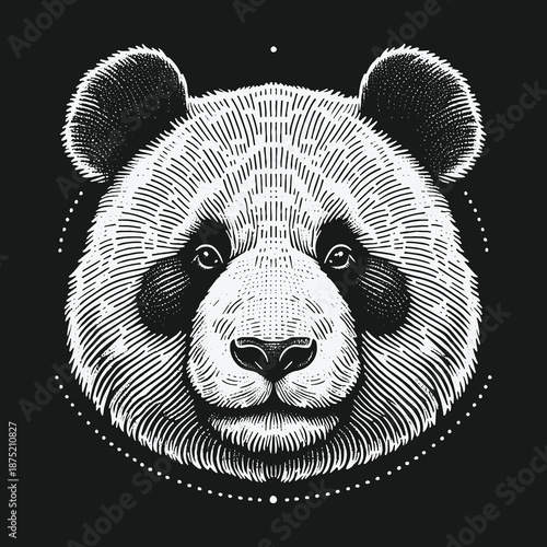 Detailed Engraving of a Panda Bear Head with Intricate Line Work.