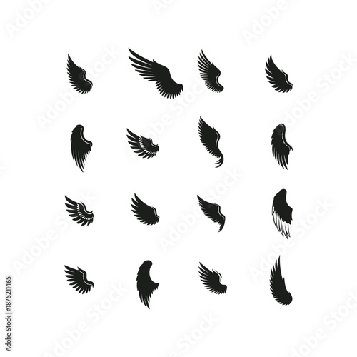 Silhouette of various bird wing angles on white background illustration