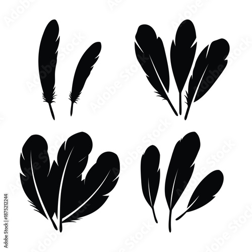 Collection of elegant black feather silhouettes in various forms and arrangements