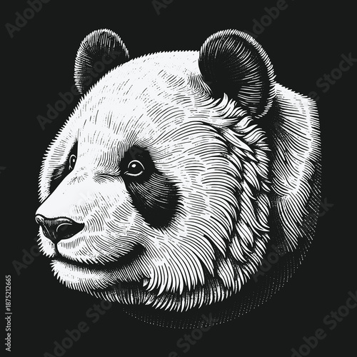Detailed Panda Portrait: A Striking Black and White Illustration.