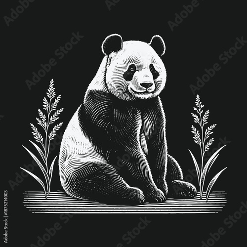 Monochrome Panda Illustration: A Detailed Engraving of a Gentle Giant.