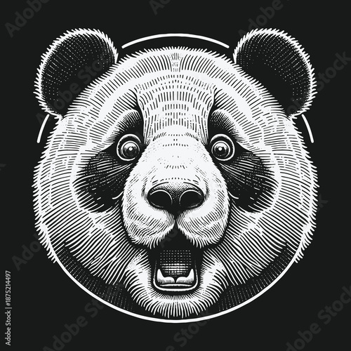 Engraved Panda Head Illustration: Detailed Black and White Animal Portrait.