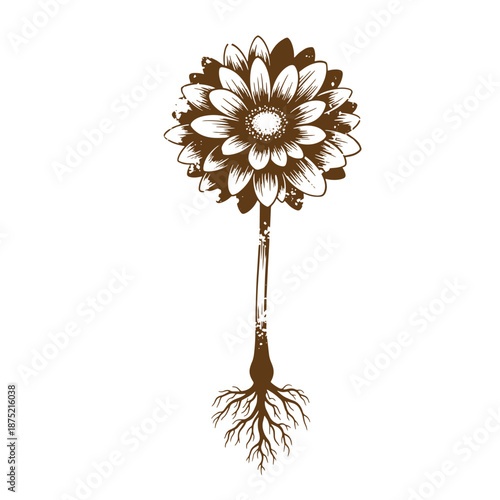 Drawing Vintage Brown flower with white details and roots growing underground