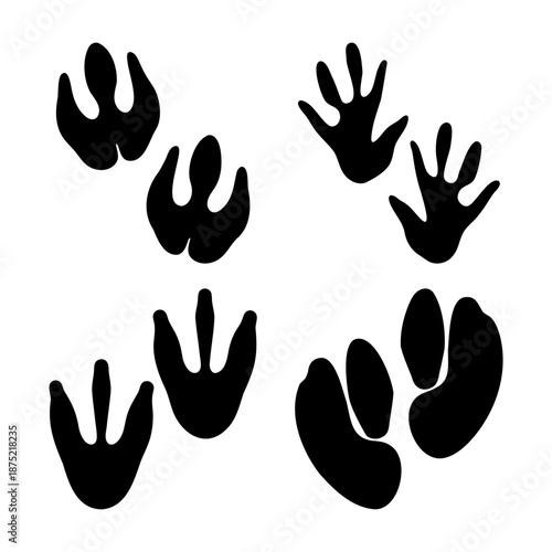 Various animal paw and foot tracks in black silhouette, perfect for educational designs