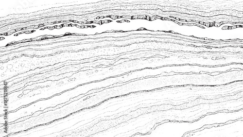 Abstract natural stone texture with flowing horizontal lines and organic patterns.