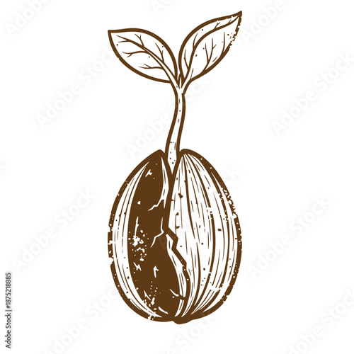 Drawing Vintage Brown seedling sprouting from cracked seed with two leaves on top  plant growth concept