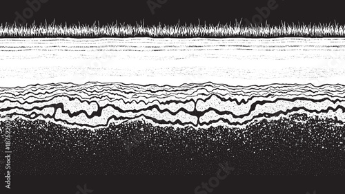 Abstract Black and White Textured Background with Organic Lines.